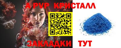 шишки Владимир
