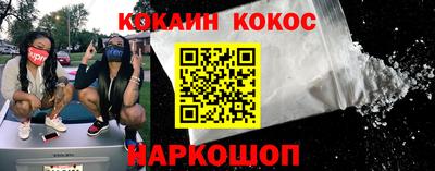 шишки Владимир