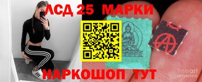 шишки Владимир