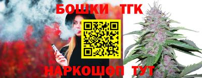 шишки Владимир