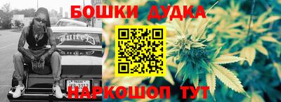 шишки Владимир