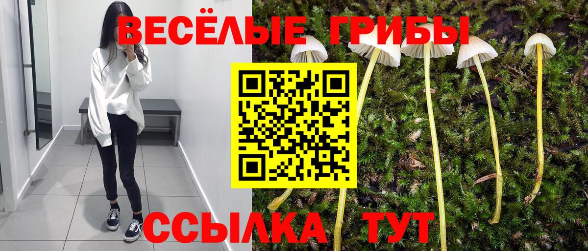 Белореченск  Галлюциногенные грибы Magic Shrooms  Вход с VPN 