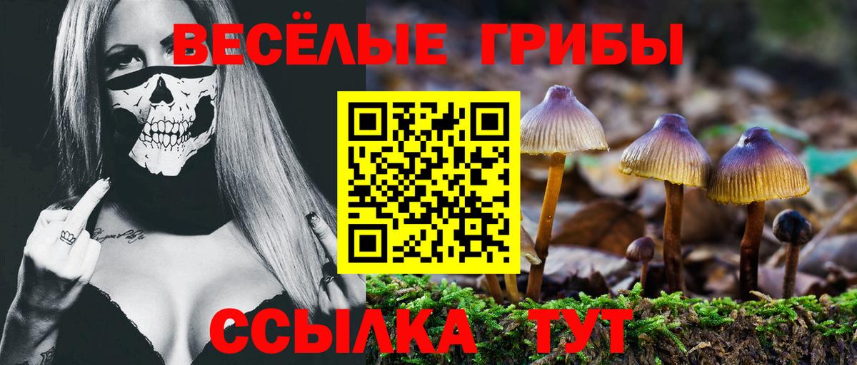 Галлюциногенные грибы прущие грибы Белореченск